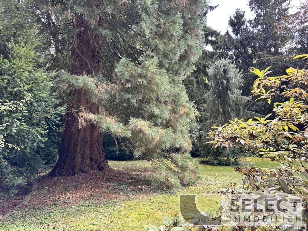 Blick in Garten