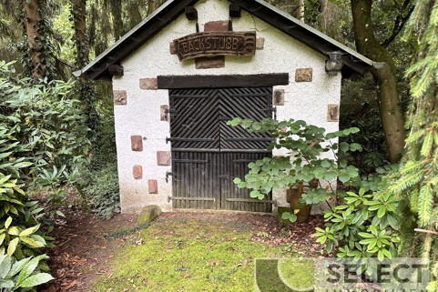 Backhaus