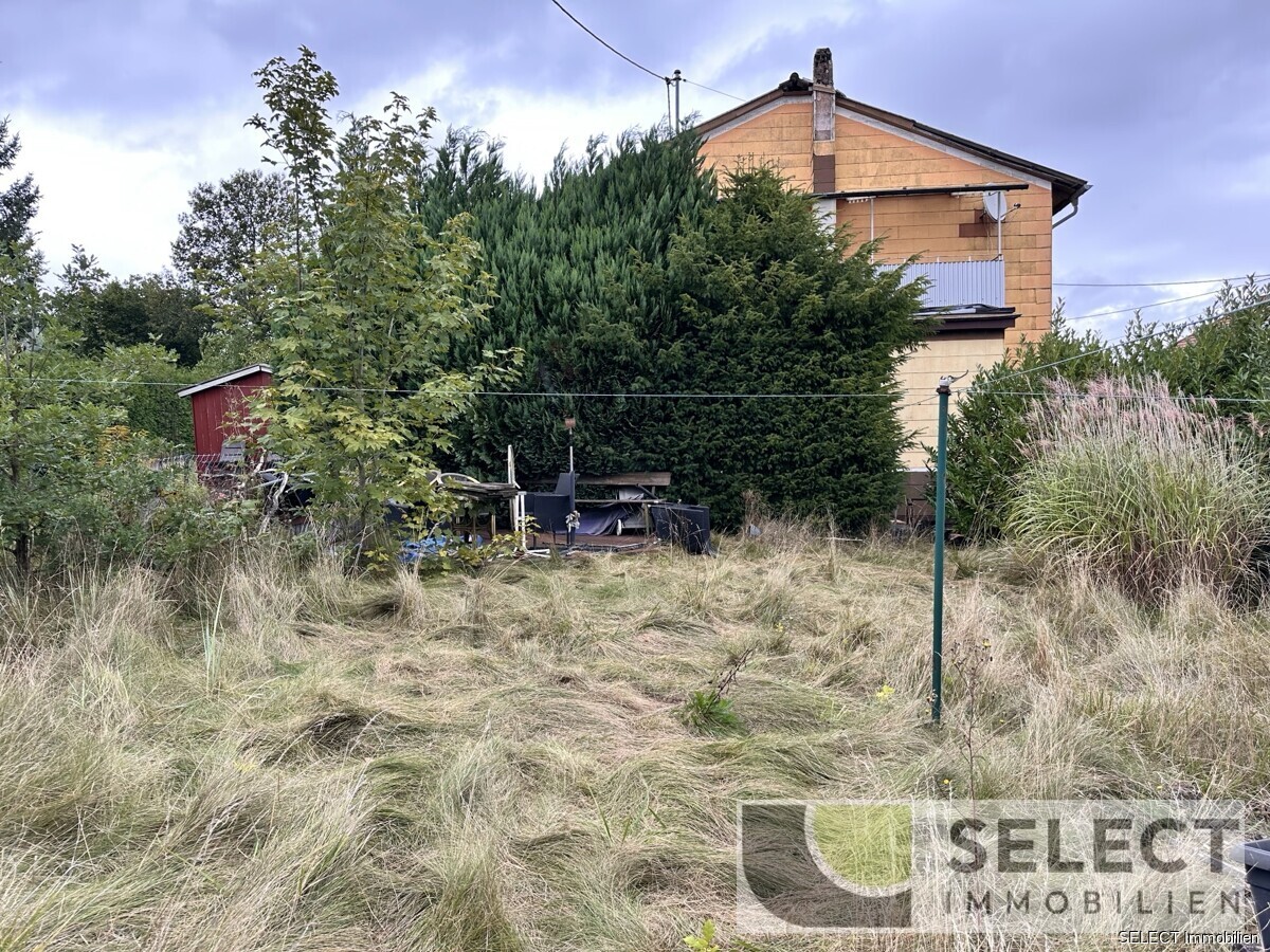 Blick in Garten 
