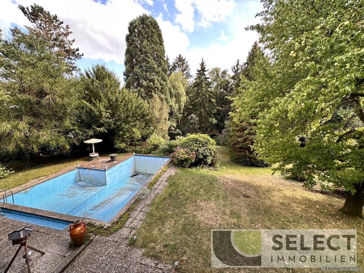 Blick in Garten
