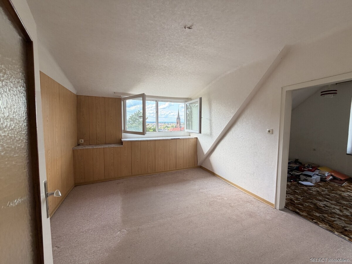 Zimmer DG