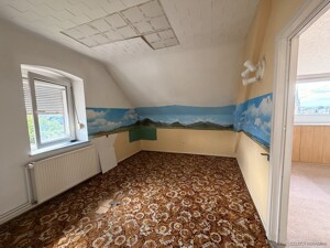 Zimmer DG