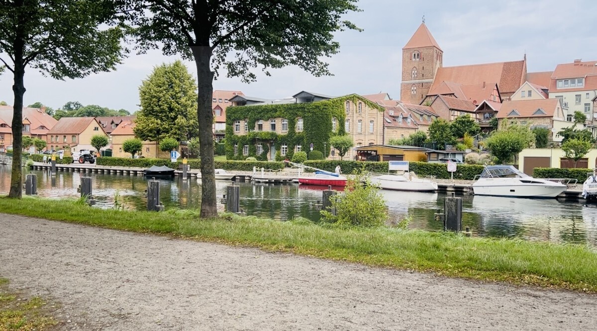 Blick vom Gartenzaun zur Elde