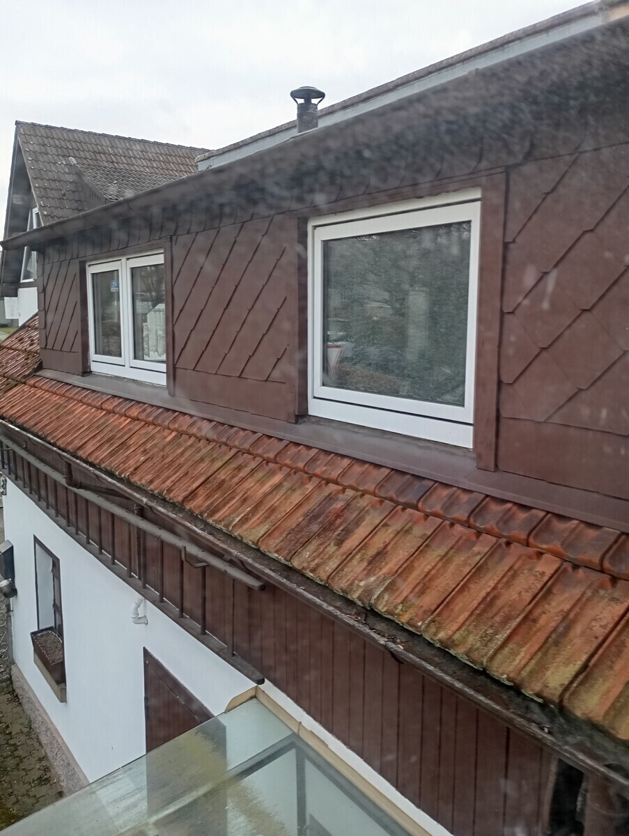 Dachgaube