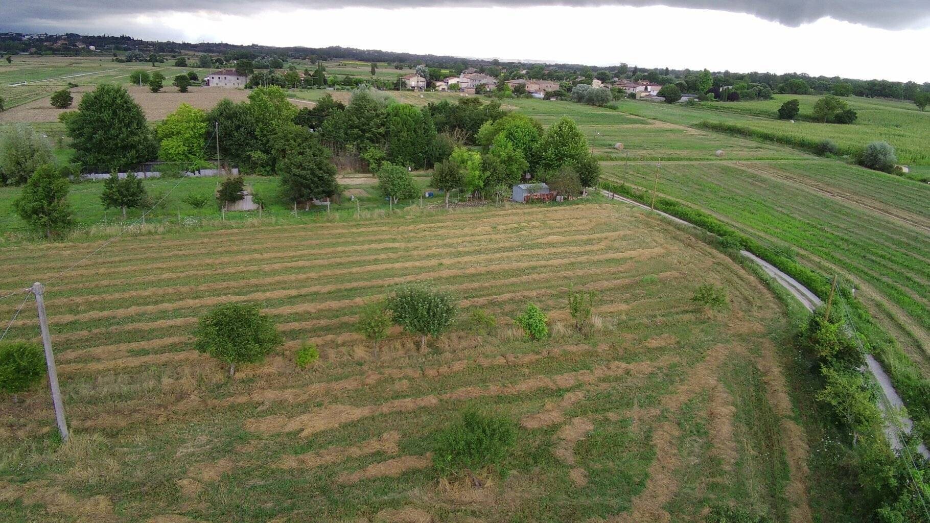20230805195544-18.jpg
