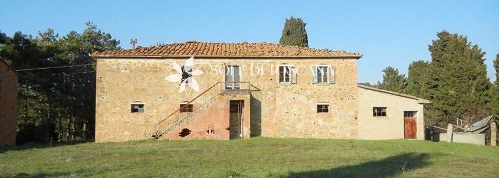 P1011 Montefollonico farmhouse to restore for sale (23) (FILEminimizer)