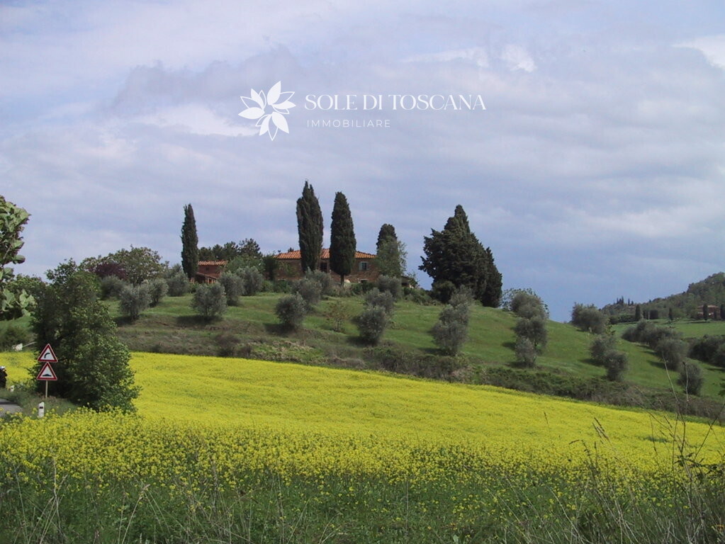 P1011 Montefollonico farmhouse to restore for sale (22) (FILEminimizer)