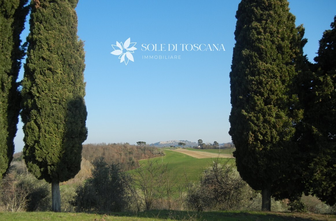 P1011 Montefollonico farmhouse to restore for sale (10) (FILEminimizer)