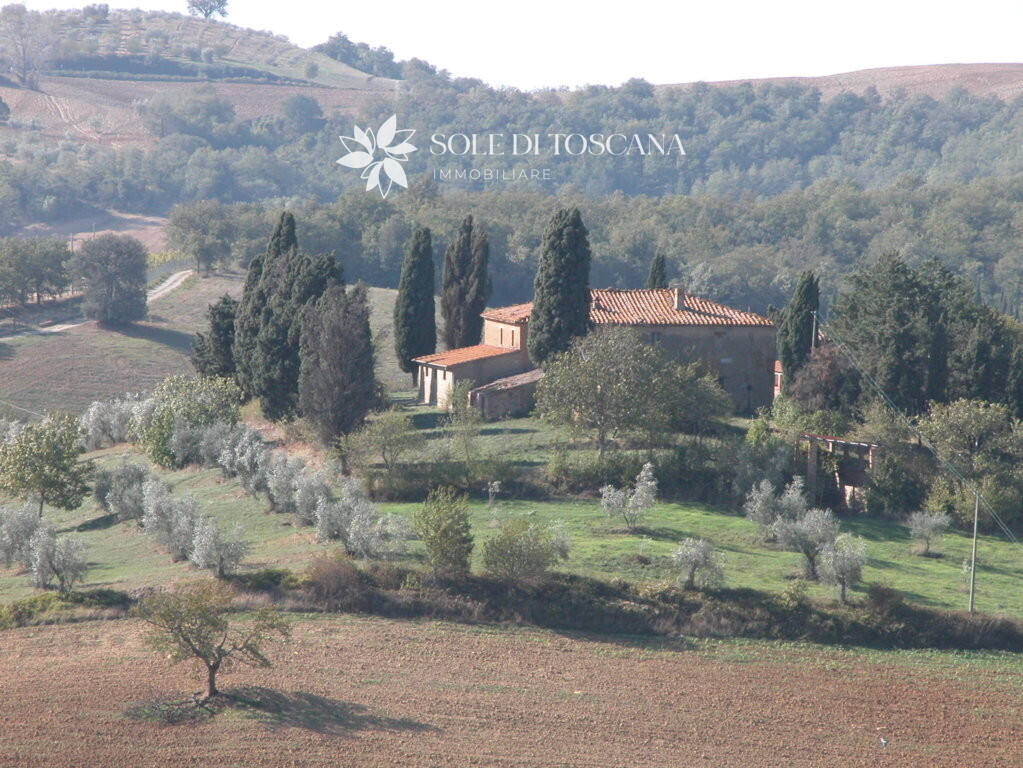 P1011 Montefollonico farmhouse to restore for sale (20) (FILEminimizer)
