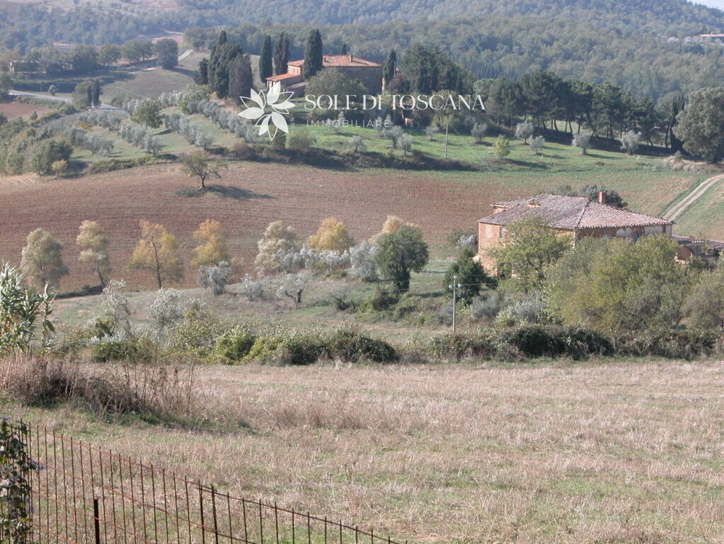 P1011 Montefollonico farmhouse to restore for sale (19) (FILEminimizer)