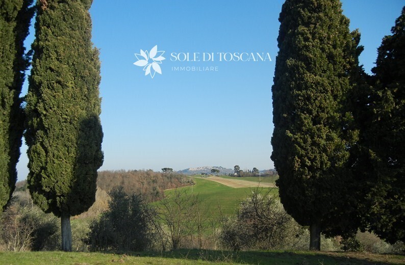 P1011 Montefollonico farmhouse to restore for sale (9) (FILEminimizer)