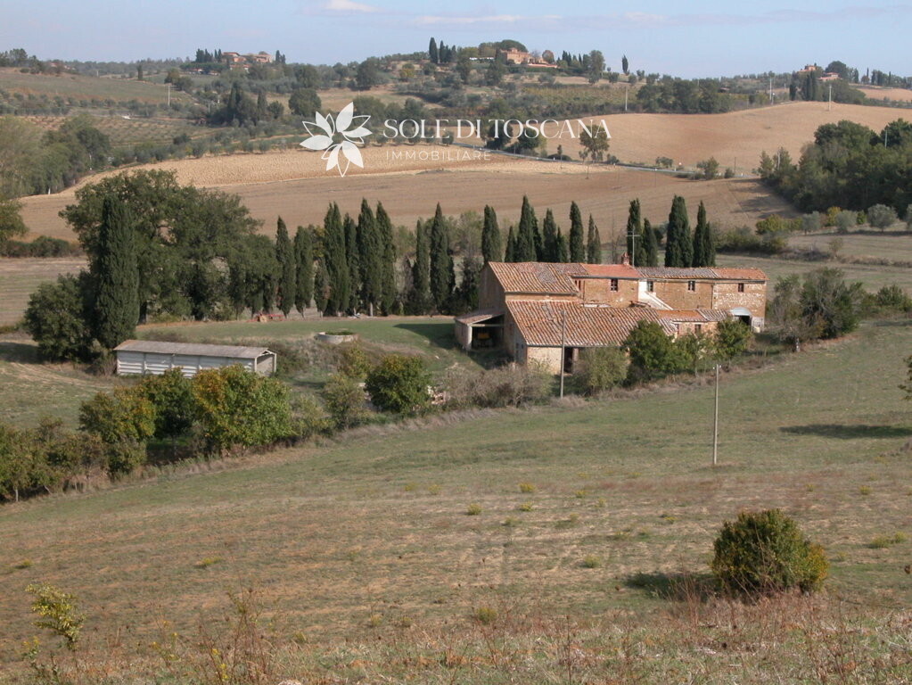 P1010 Montefollonico farmhouse to restore (35) (FILEminimizer)