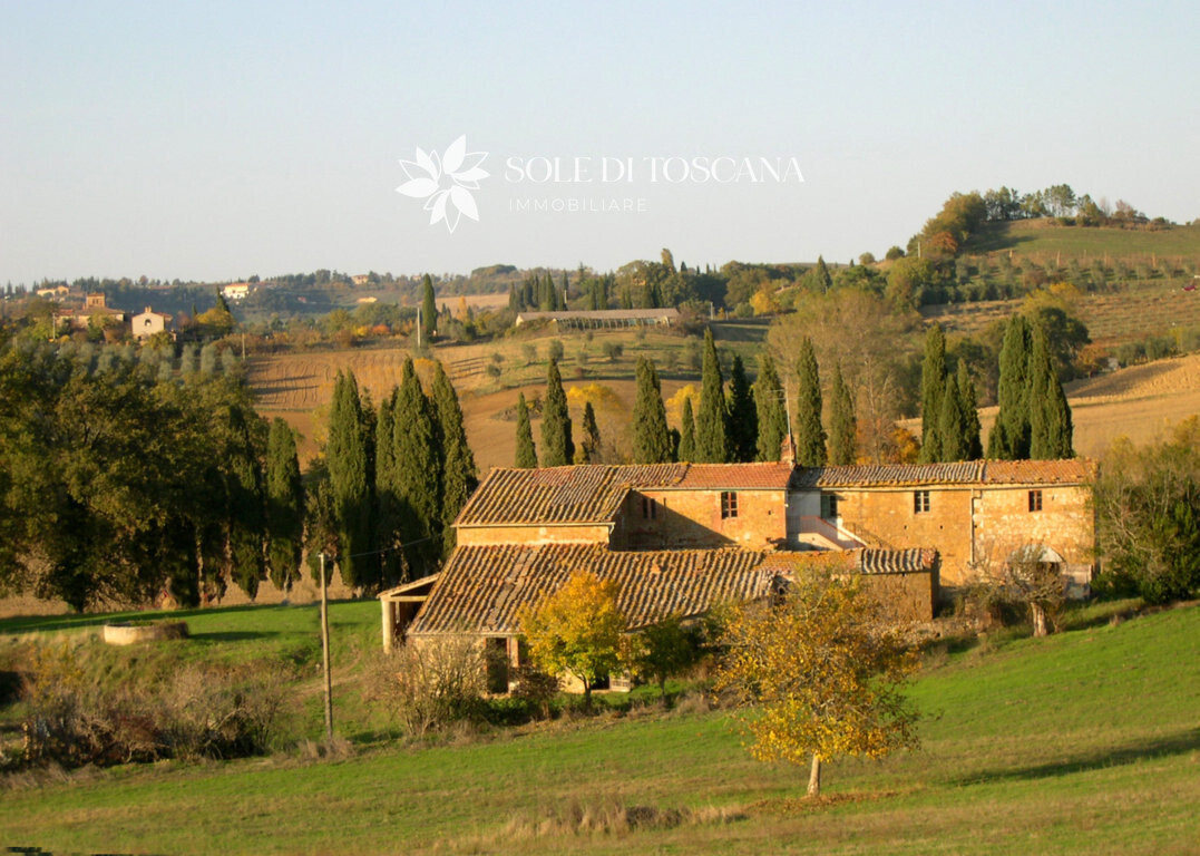 P1010 Montefollonico farmhouse to restore (34) (FILEminimizer)