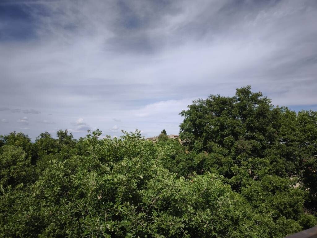 20250529110852-7.jpg