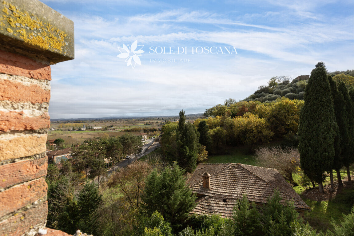 Sinalunga_Tuscany_historic_villa _for_sale (29) (FILEminimizer)