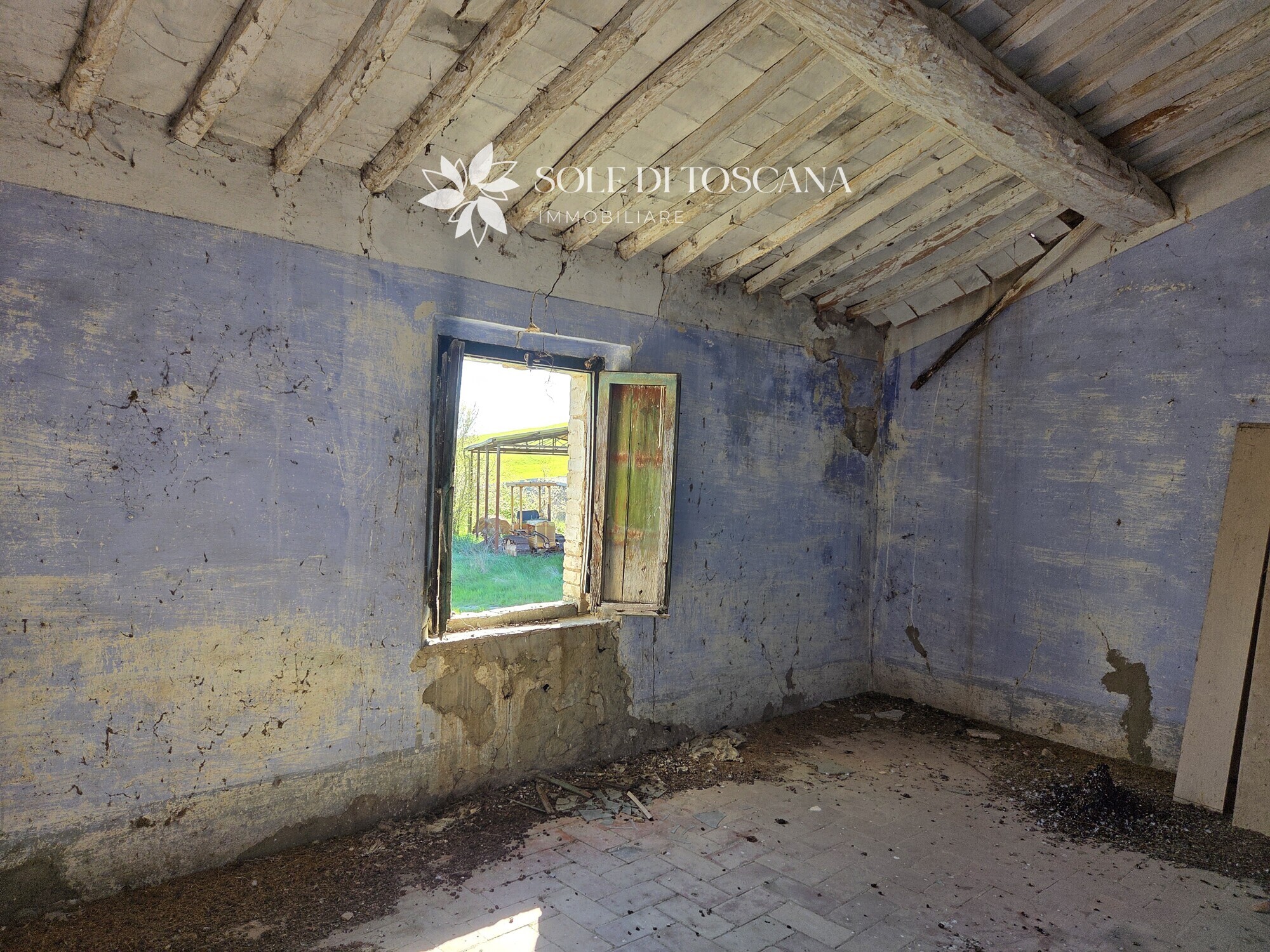 San_Giovanni_d_asso_farm_estate_for_sale (49)
