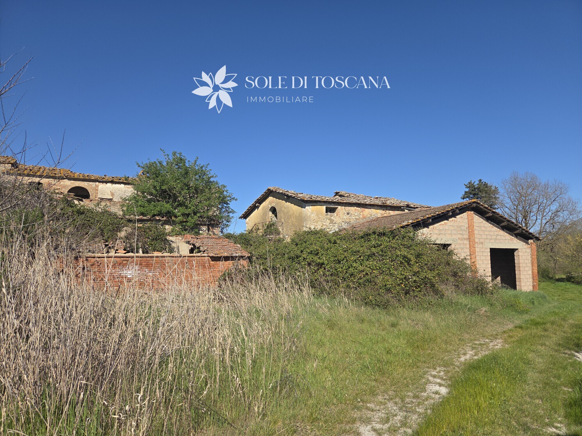 San_Giovanni_d_asso_farm_estate_for_sale (19)