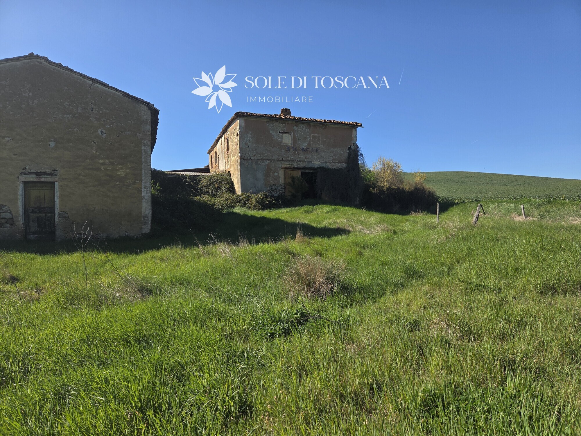 San_Giovanni_d_asso_farm_estate_for_sale (23)