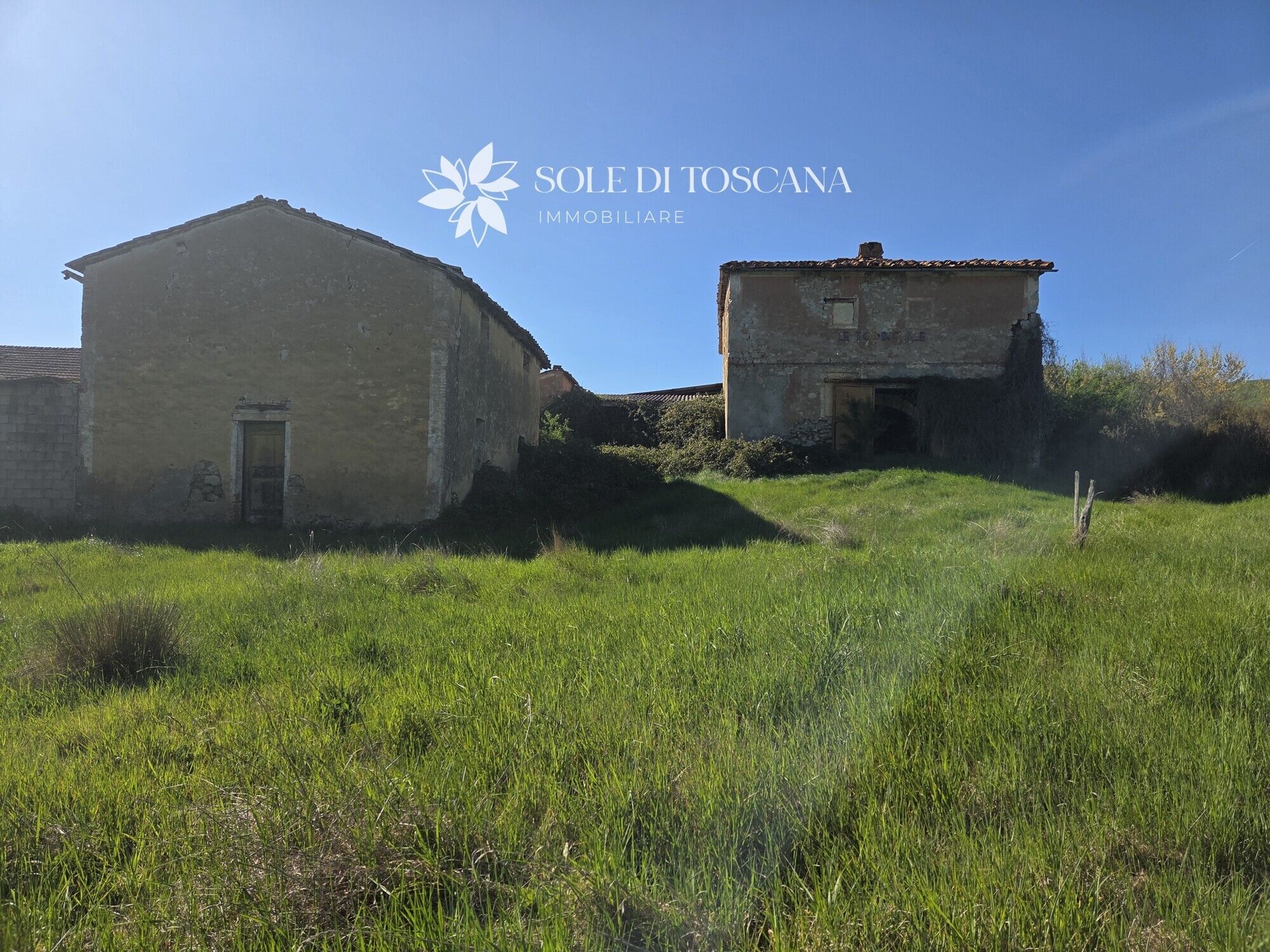 San_Giovanni_d_asso_farm_estate_for_sale (24)