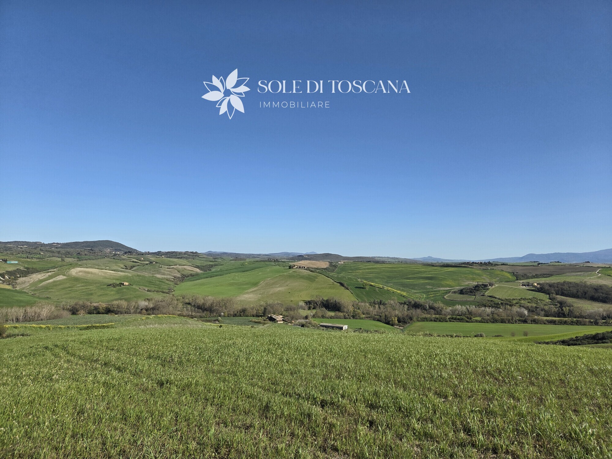 San_Giovanni_d_asso_farm_estate_for_sale (53)