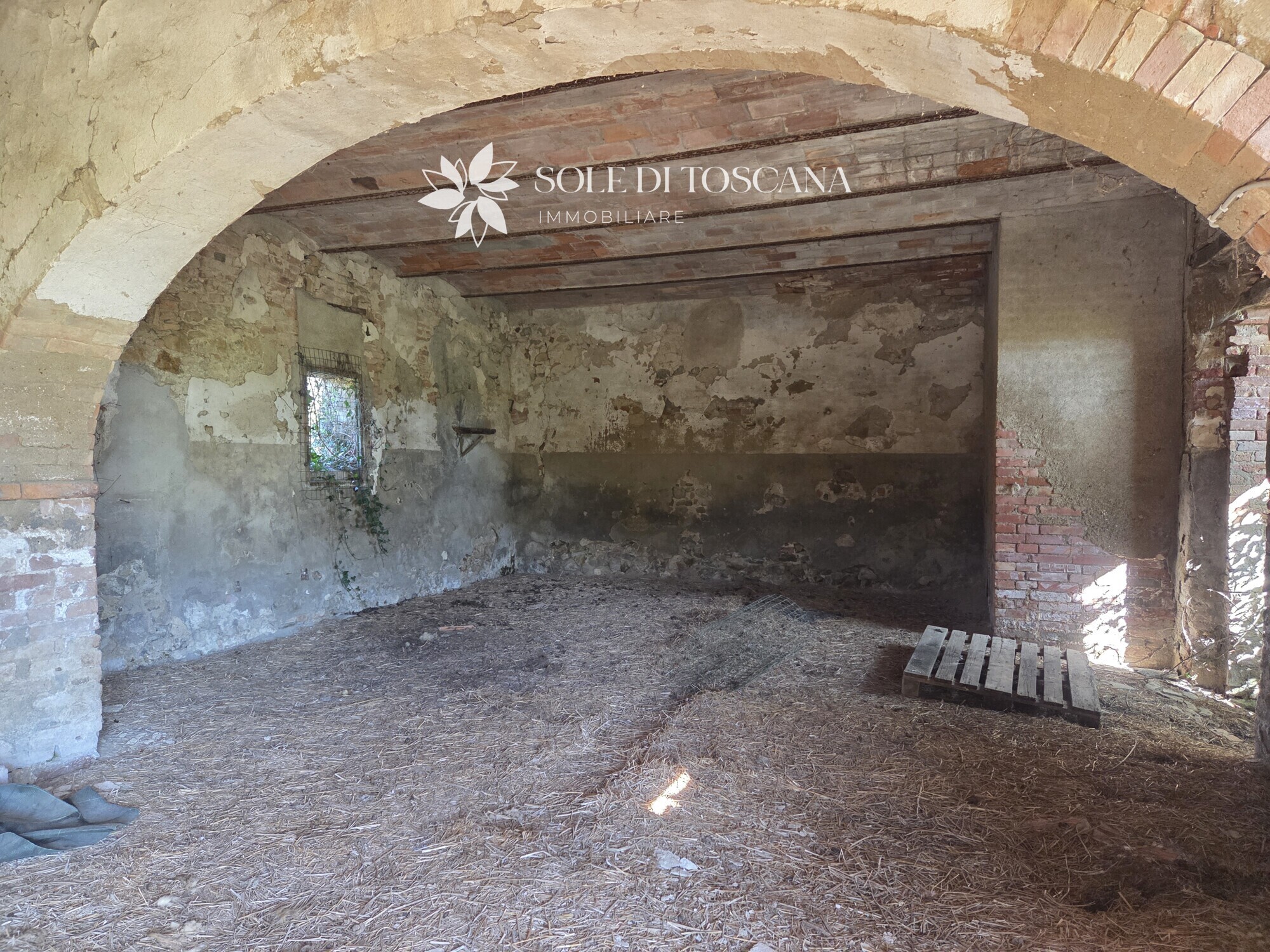 San_Giovanni_d_asso_farm_estate_for_sale (6)