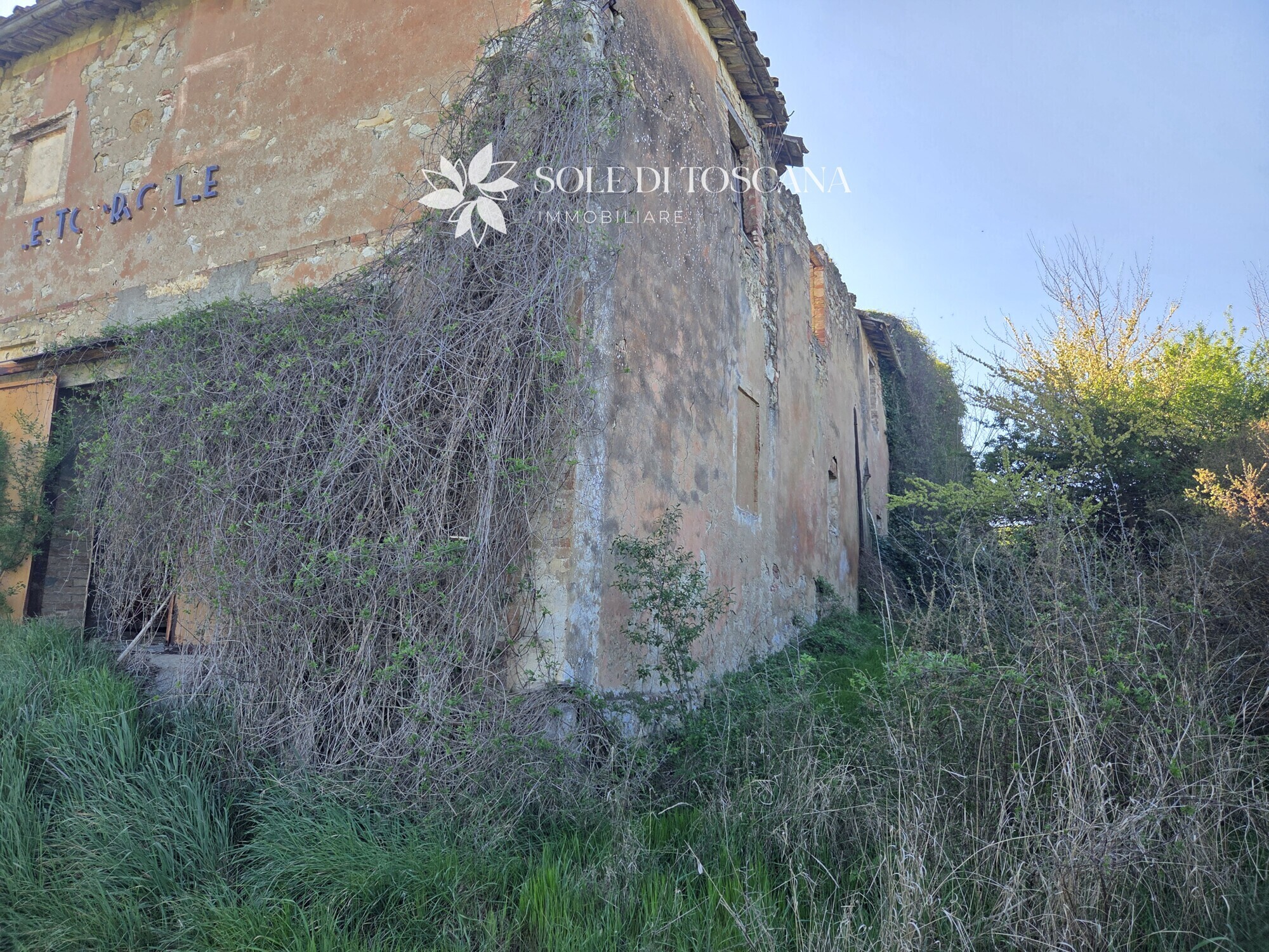 San_Giovanni_d_asso_farm_estate_for_sale (26)