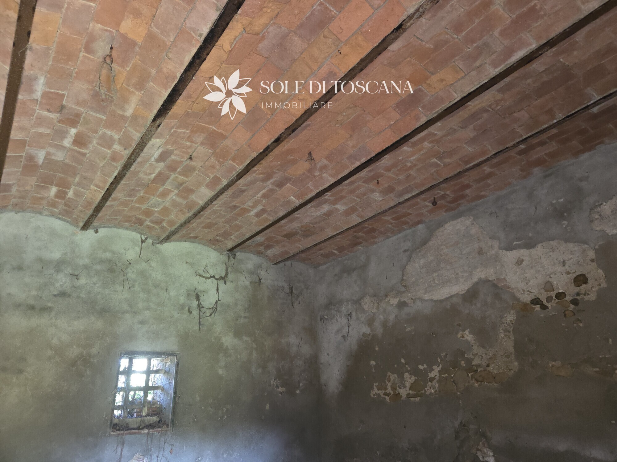 San_Giovanni_d_asso_farm_estate_for_sale (18)