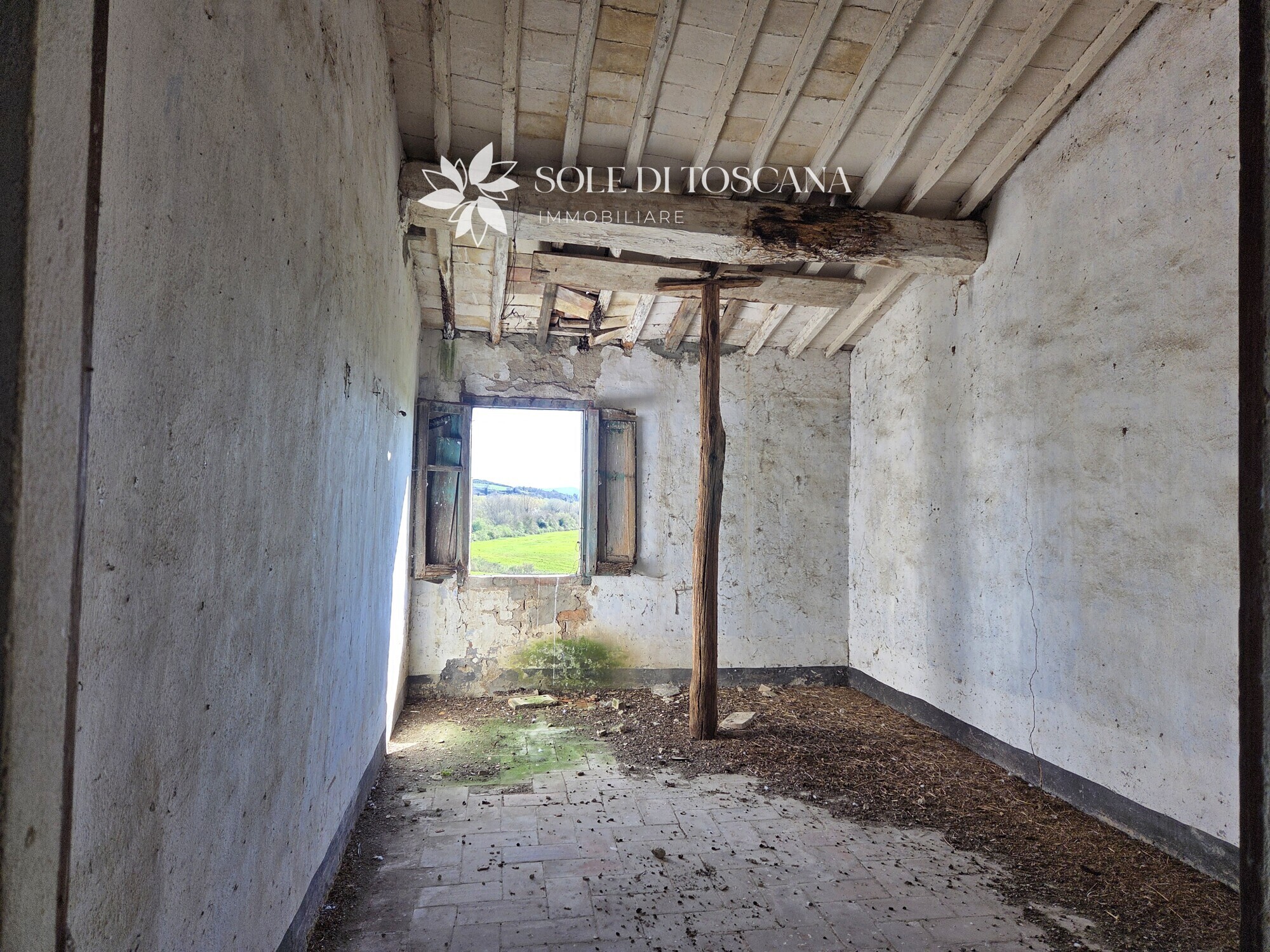 San_Giovanni_d_asso_farm_estate_for_sale (42)