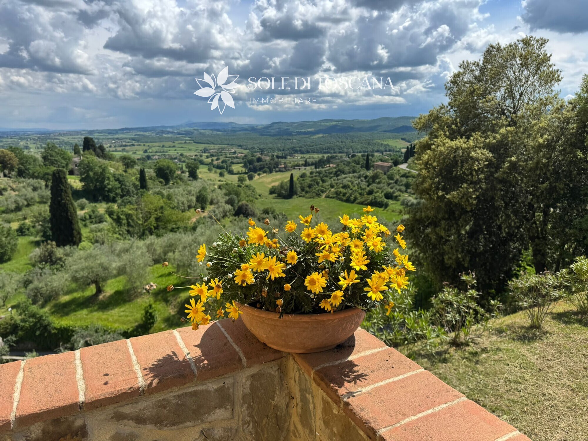 Sinalunga_historic_villa_for_sale (45)