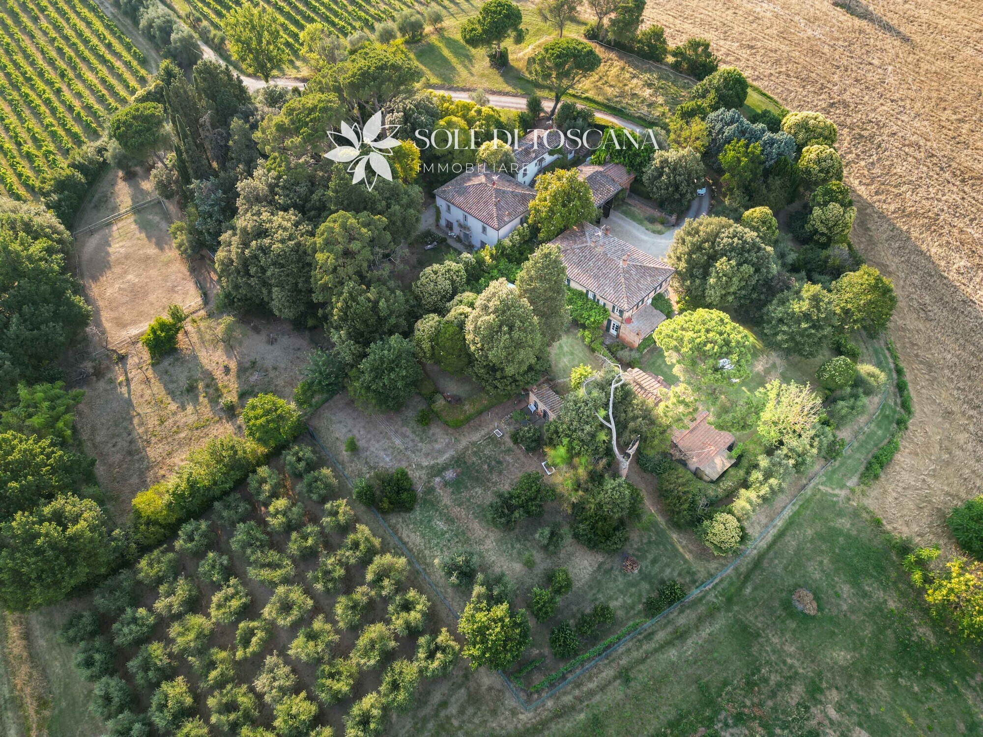 Foiano_della_Chiana_villa_reday_to_live_for_sale (19)