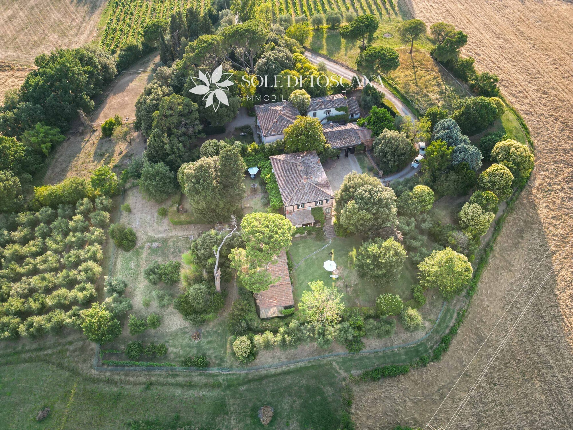 Foiano_della_Chiana_villa_reday_to_live_for_sale (1)