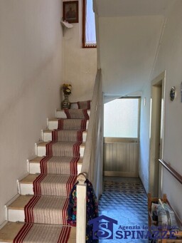 IMG_4019