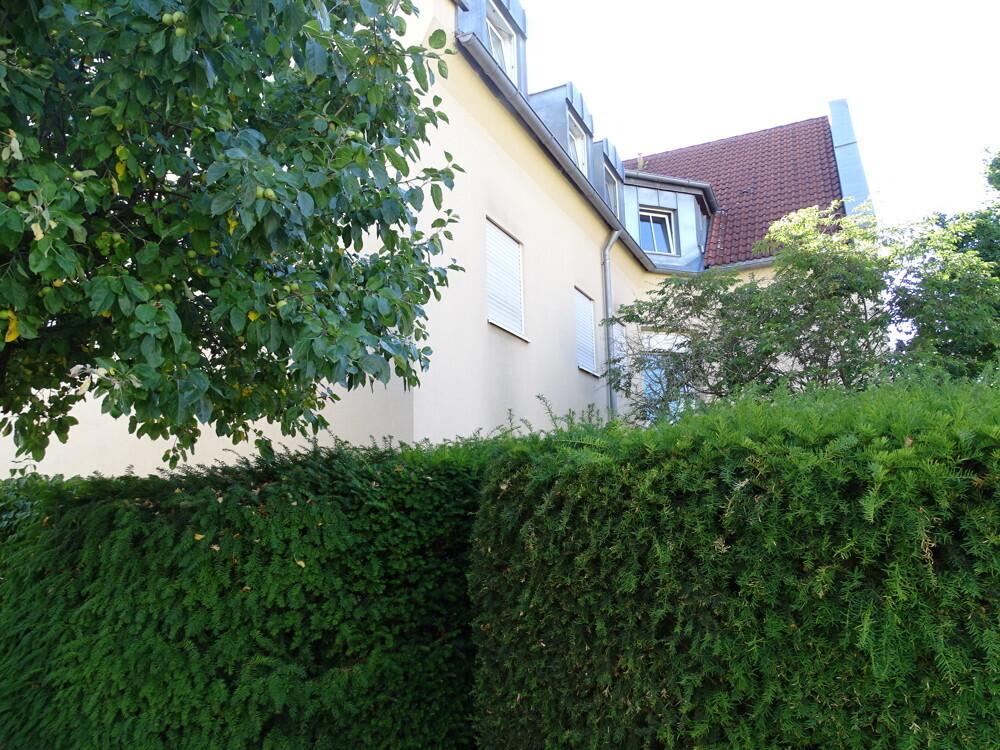Umgebung