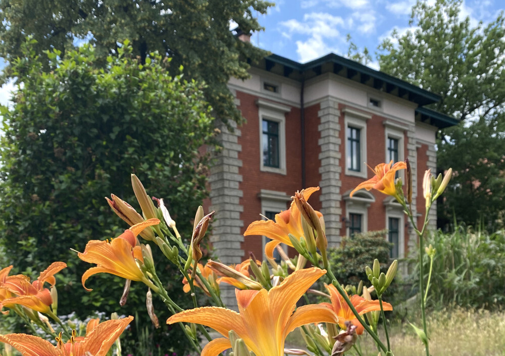 Immobilienbild