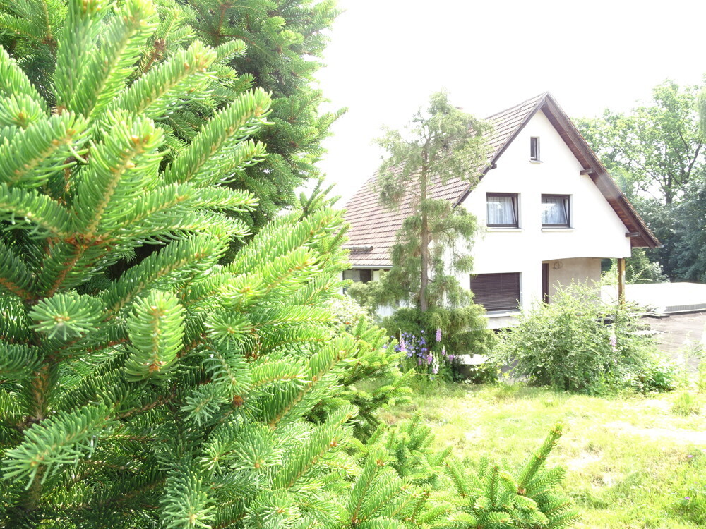 Ansicht