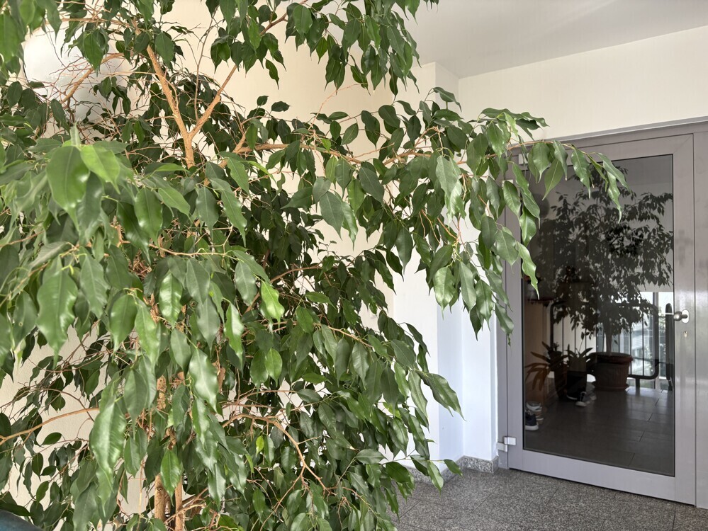 Immobilienbild