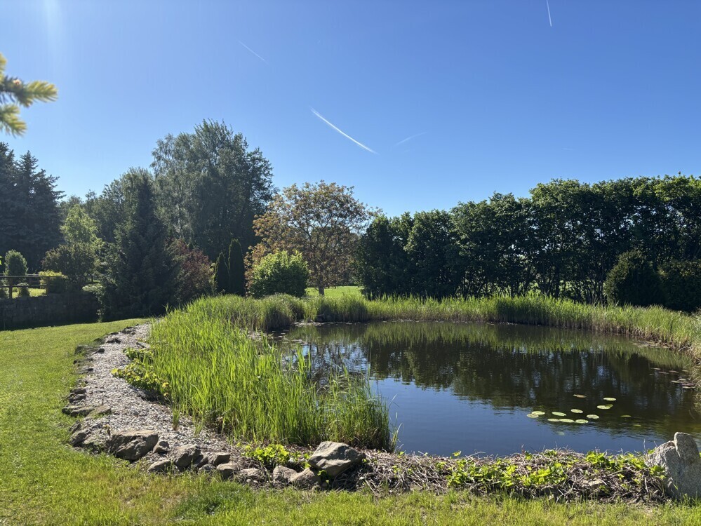 Teich