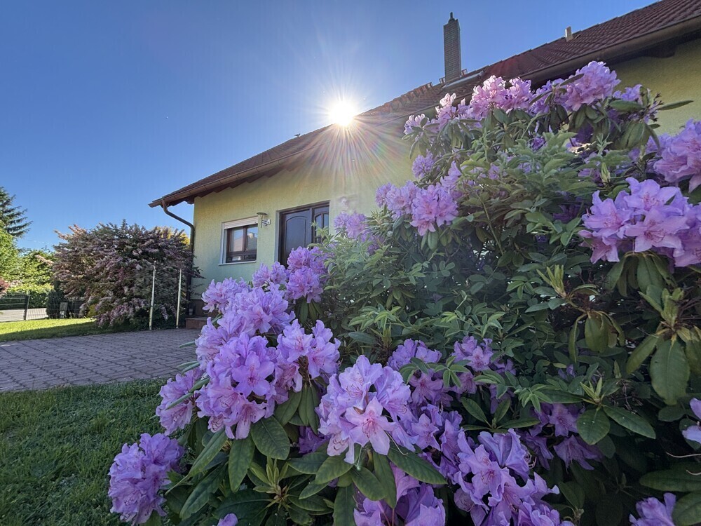 Eingangsbereich