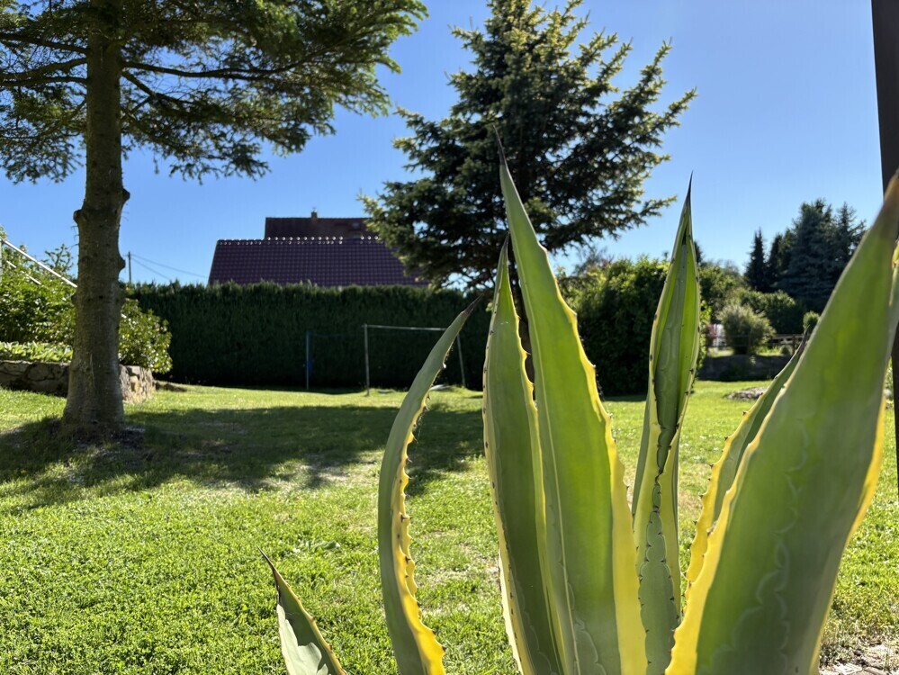 Grundstück