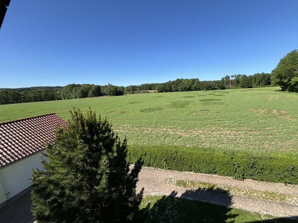 Blick ins Grüne von OG