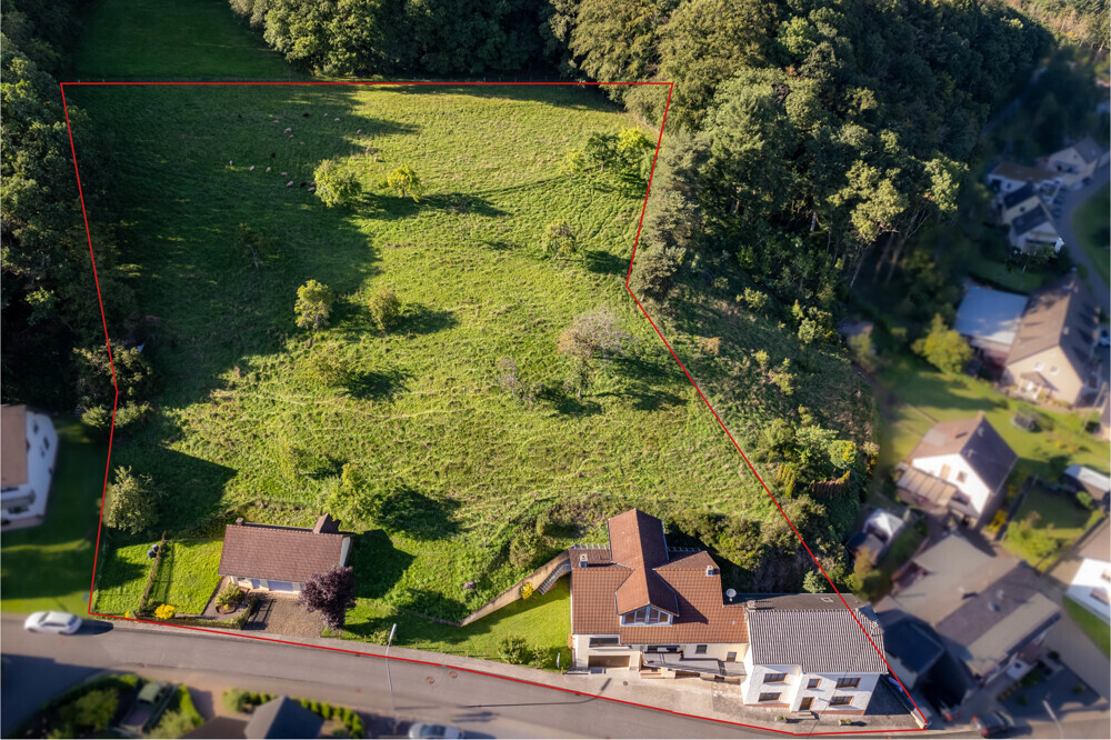 Grundstücksgrenze