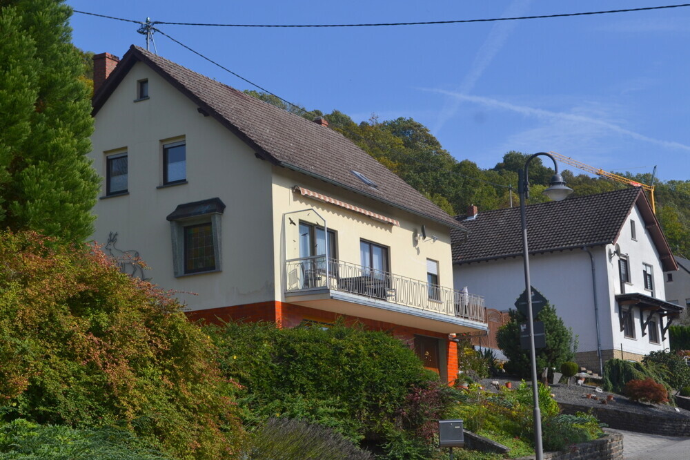 Seitenansicht links