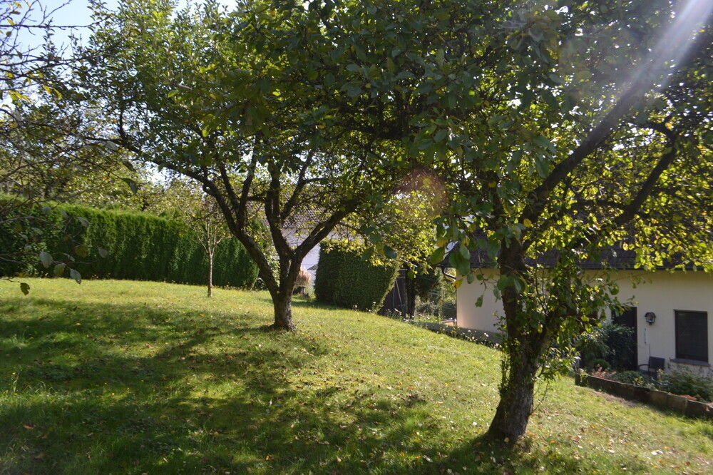 Obstbäume