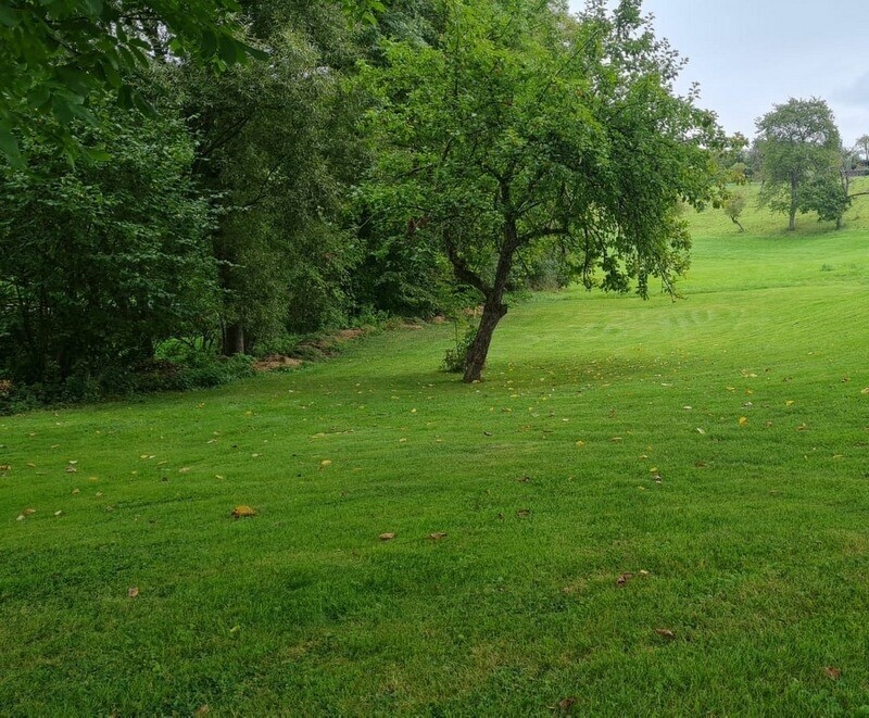 Wiese hinterm Haus