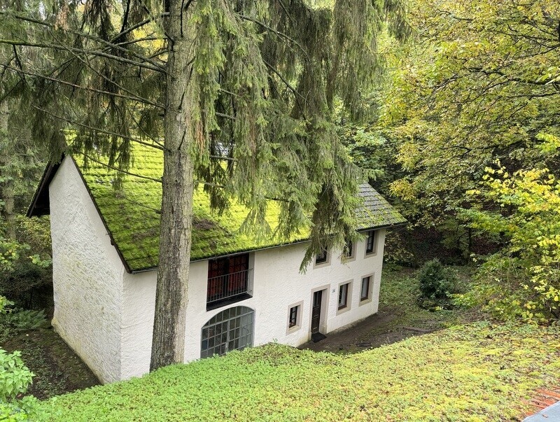 Ansicht v. über Holzlager