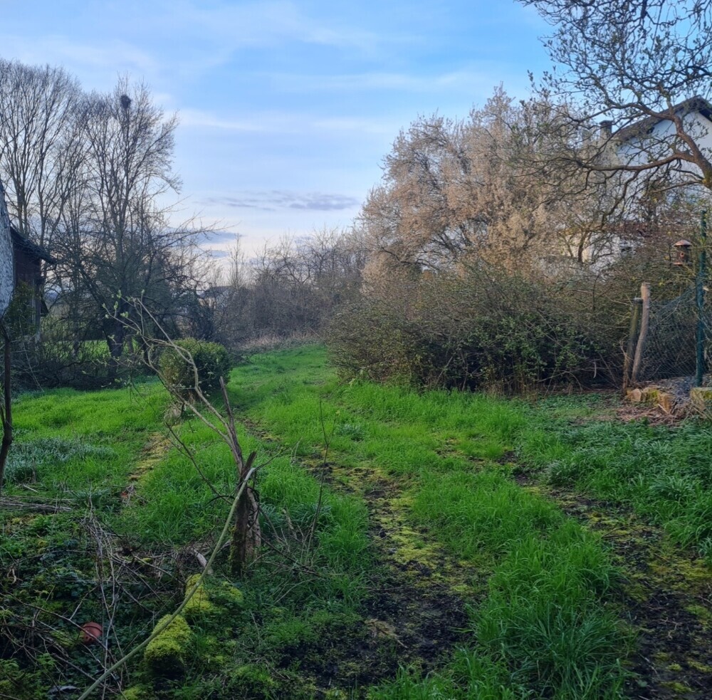 Garten rückseitig
