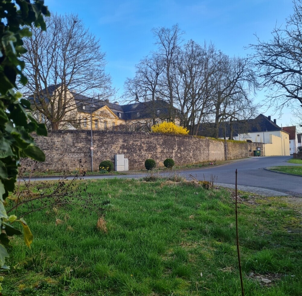 Ausblick aus der guten Stube