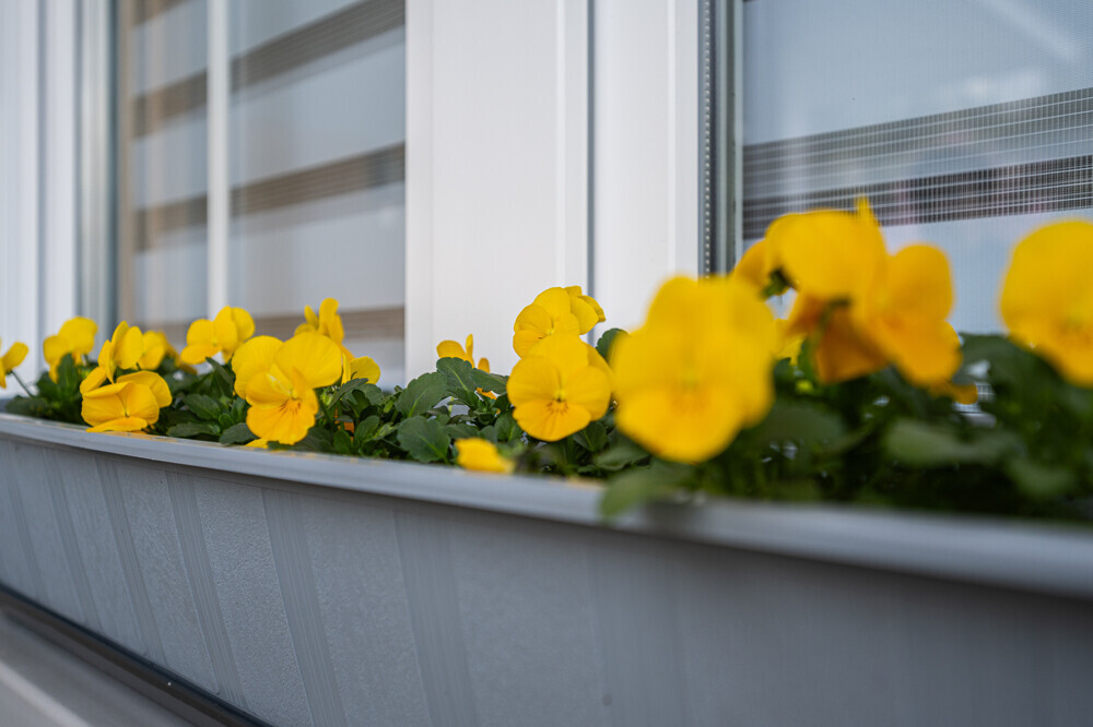 Frühling