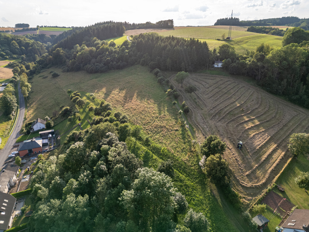 Immobilienbild