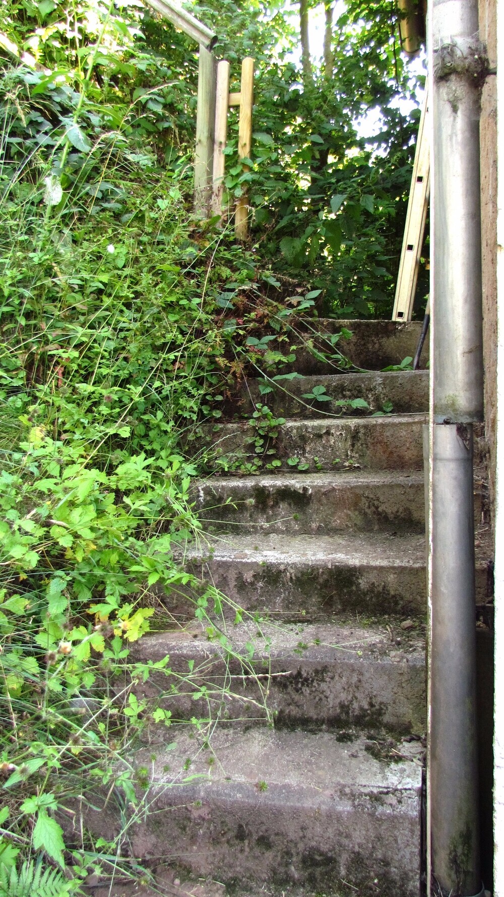 Treppe zum kleinen Garten